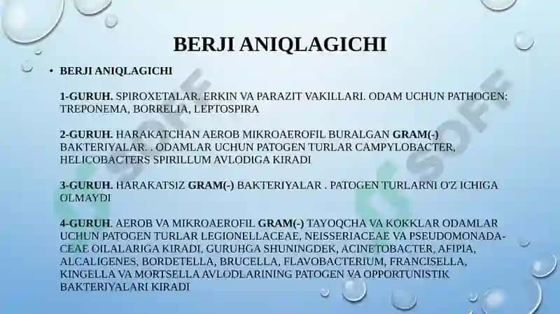 Bakteriyalaring “bejri” sinamasi 8