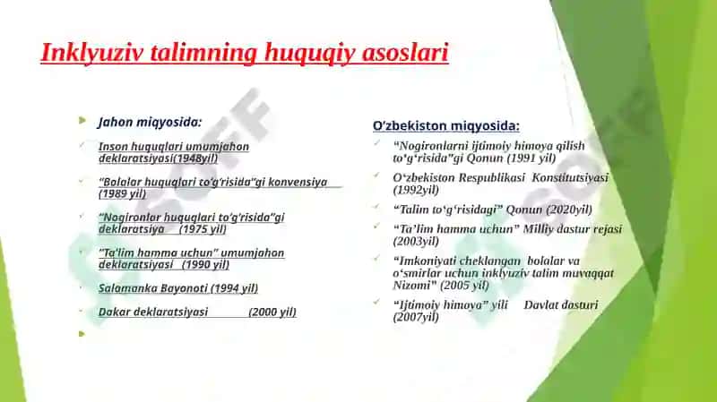 IMKONIYATI CHEKLANGAN BOLALARNI INKLYUZIF TA'LIM VA TARBIYALASH KONSEPSIYASI 8