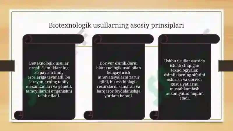 Dorivor o'simliklarni biotexnologik usul bilan kôpaytirishning ilmiy asoslari 8