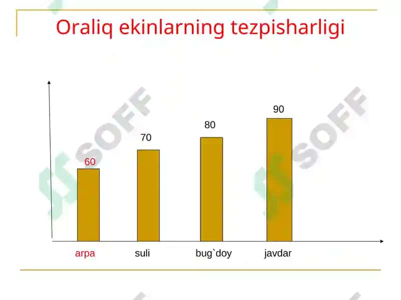 MAVZU.ARPA BIOLOGIYASI VA YETISHTIRISH TEXNOLOGIYASI 8