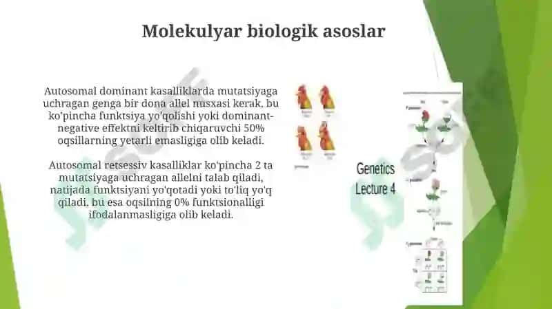Tibbiybiologiya Autosomadominant va retsessiv kasalliklar 8
