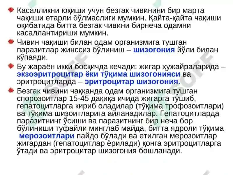 BEZGAK MALYARIYA, MALARIA 8