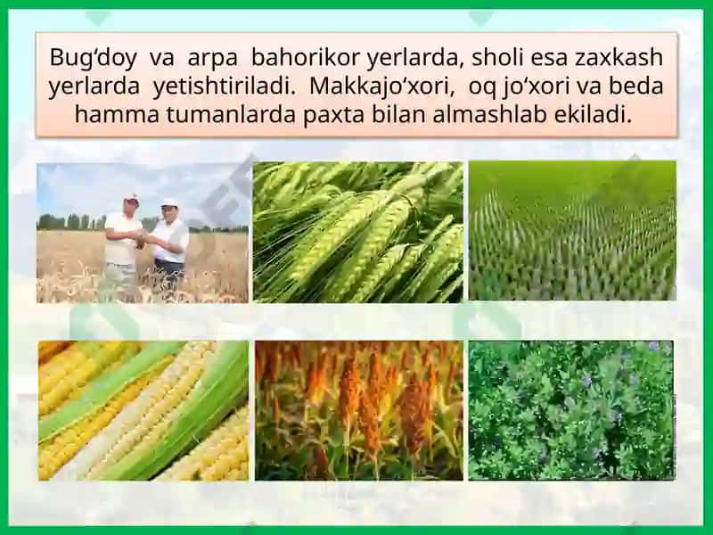 47-dars.FARG‘ONA VILOYATI 8