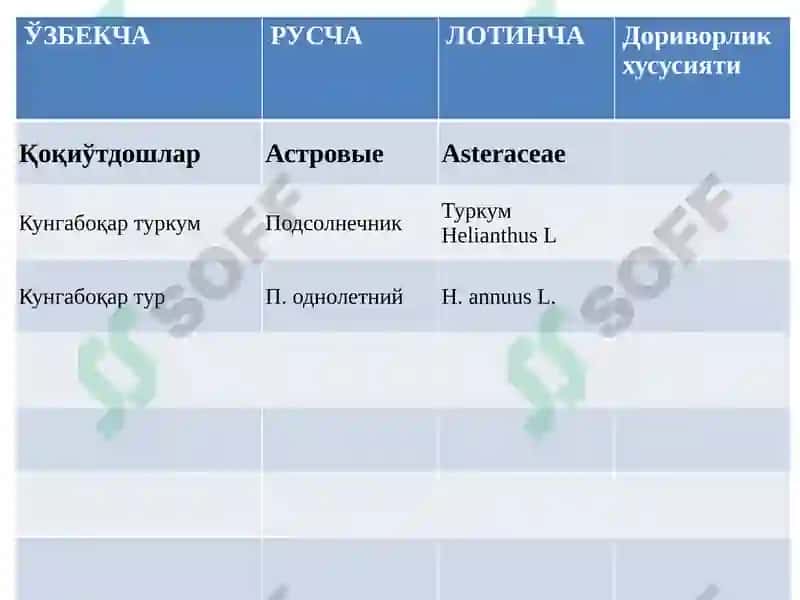 Толали доривор ўсимликлари 8