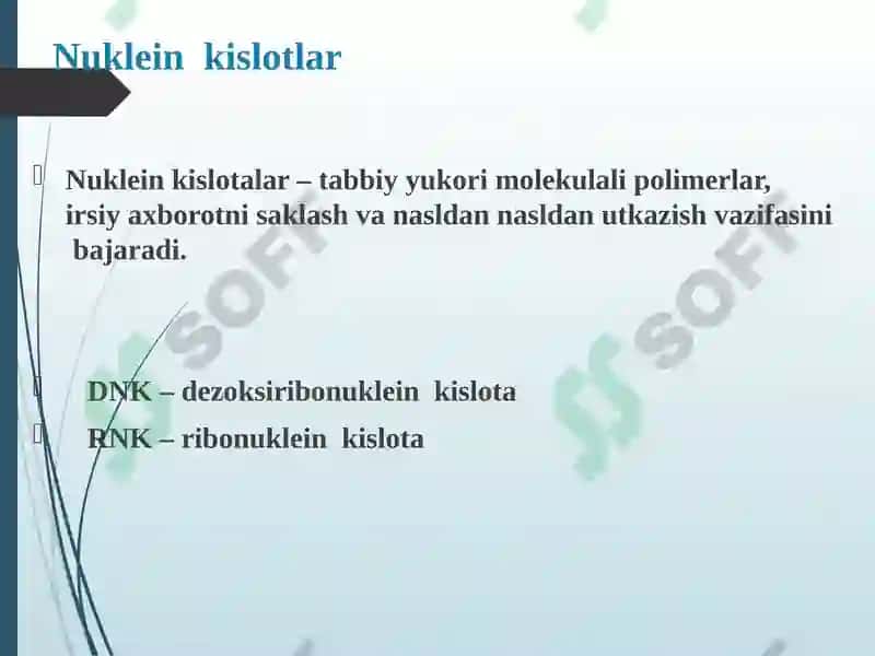Nuklein kislotalar biosintezi 8