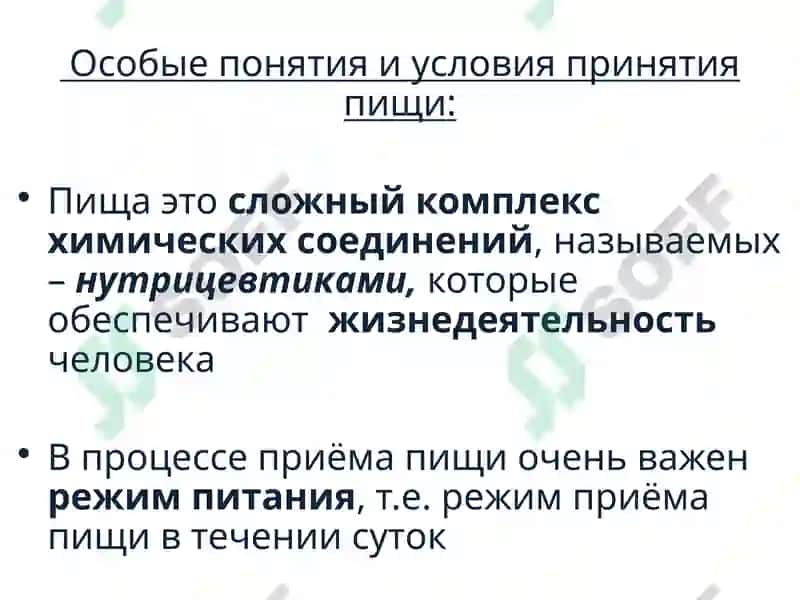 Основы гигиены и экологии человека 8