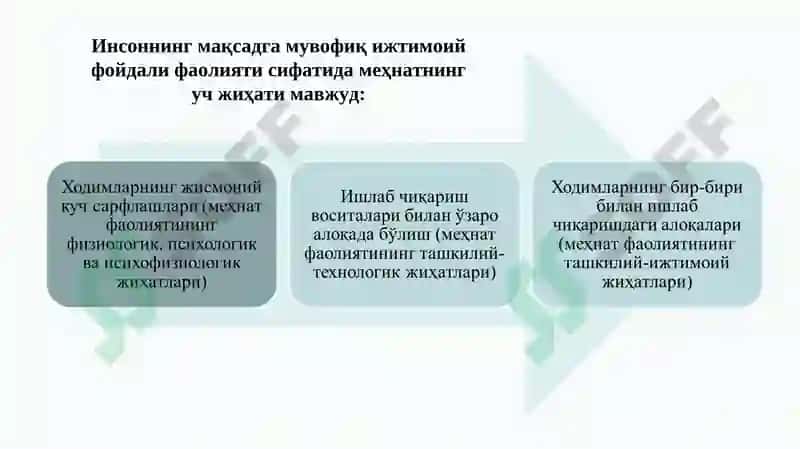 Меҳнат иқтисодиёти ва социологияси 8