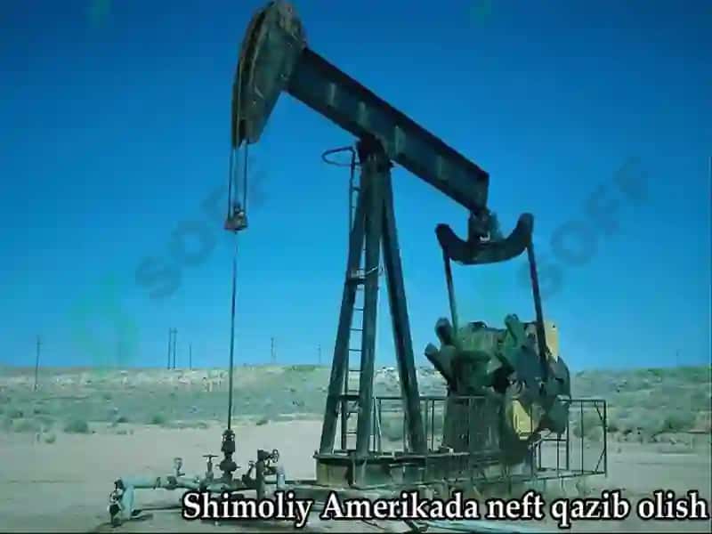 Mineral Resurslar va ularning foydali qazilmalari 8