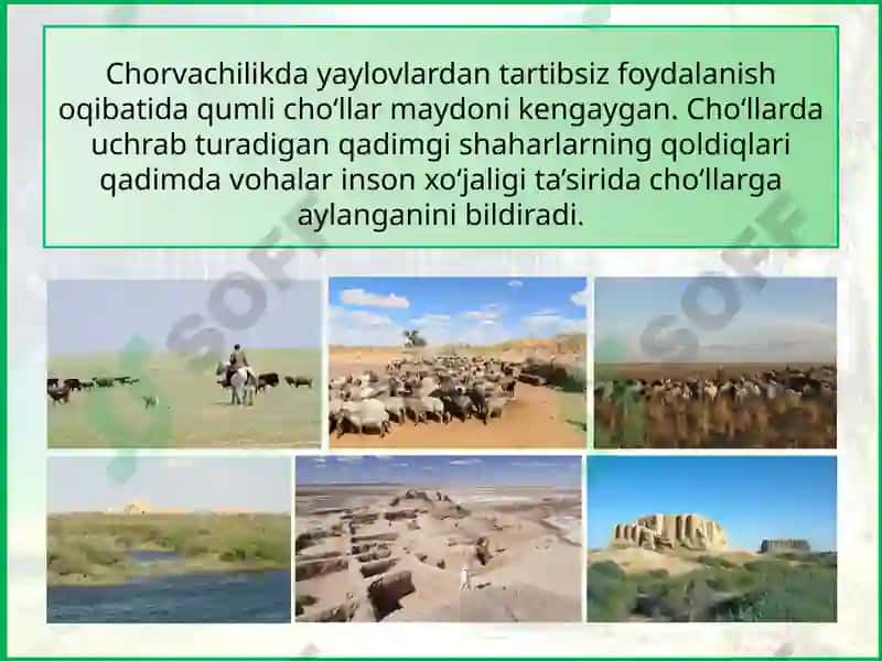 EKOLOGIK MUAMMOLARIVA TABIATINI MUHOFAZA QILISH 8