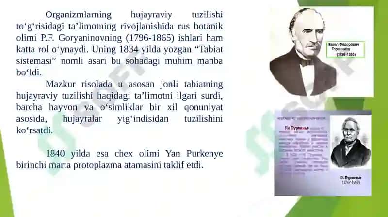 Hujayra organoidlari va ularda boradigan jarayonlar 8