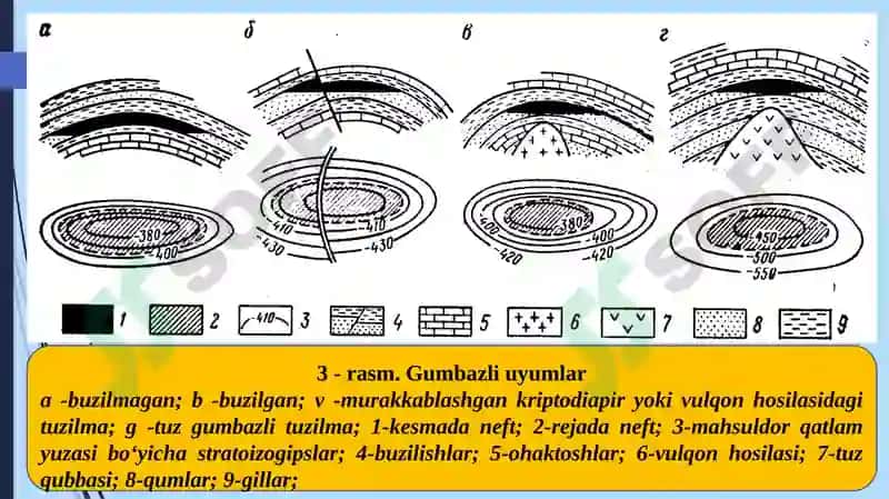Neftvagazlarning tabiiy saqlagichlari va tutqichlari 8