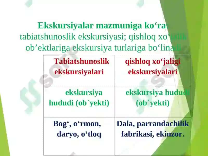 Tayyorlov Guruh Bolalarini Tabiatda Mehnatlari Tashkil Etish 8