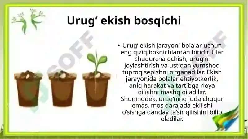 Mening kichik bo‘g‘im O‘simliklarni ekish, parvarishlash va kuzatish loyihasi 8
