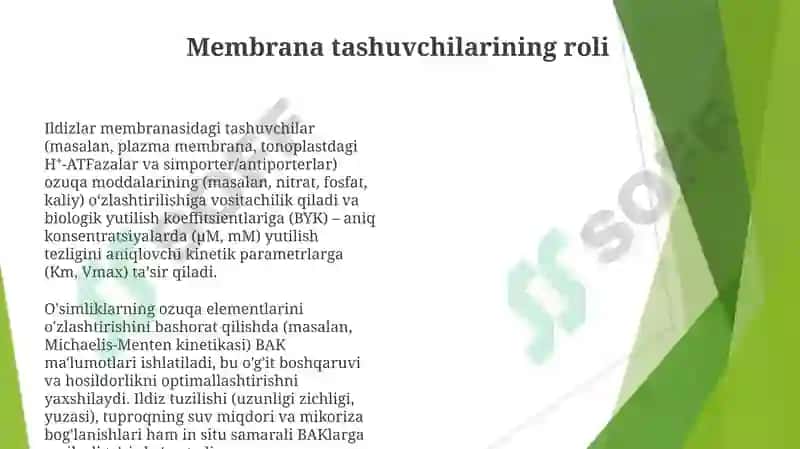 O‘simliklardagi oziqa moddalarning biologik singdirish koeffitsiyentlarini aniqlash 8