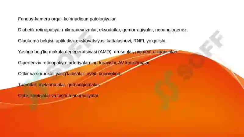 RETINA VA KO‘RISH YO‘LLARINI TEKSHIRISHDA ZAMONAVIY DIAGNOSTIKA 8