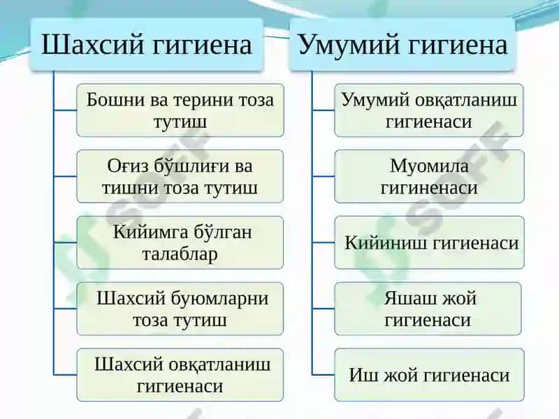 Соғлом турмуш тарзи ва унинг таркибий қисмлари 8