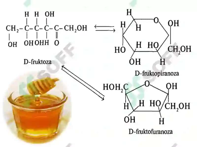 Uglevodlar Sho'rchi 2024 8