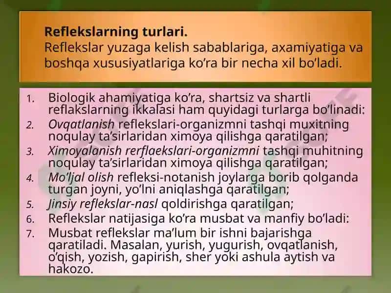 Yo'nalish refleksiya 8