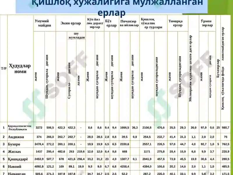Agrobiznesda resurs salohiyatidan samarali foydalanishni tashkil etish 8