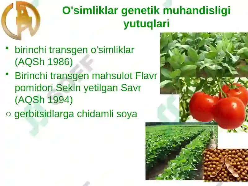 O'simliklargenetik muhandisligi imkoniyatlar va cheklovchi omillar 8