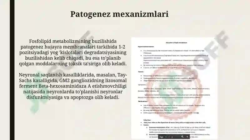 Fosfolipidlar almashinuvi buzilishi 8