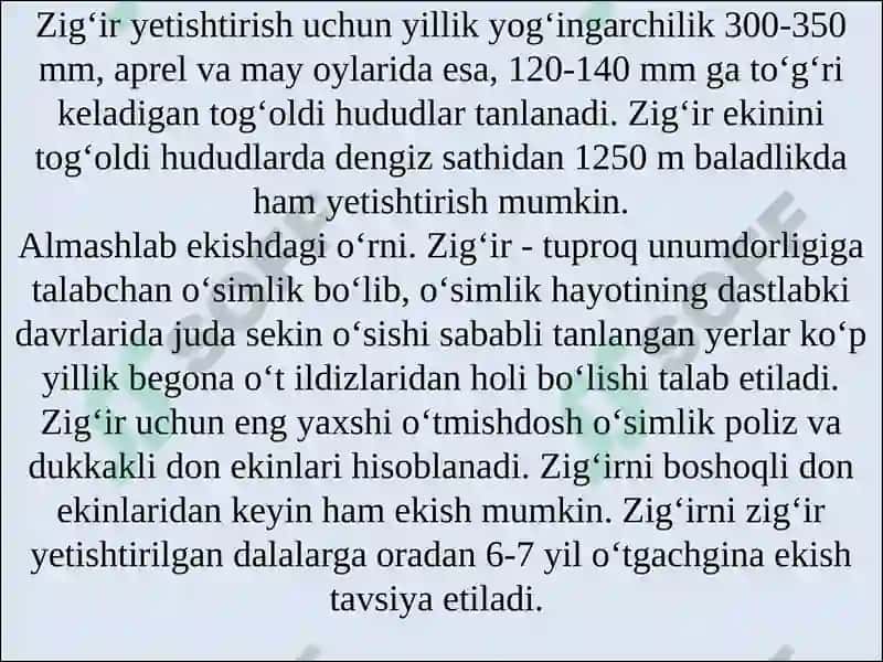 BIOTEXNOLOGIYA FAkulteti 8
