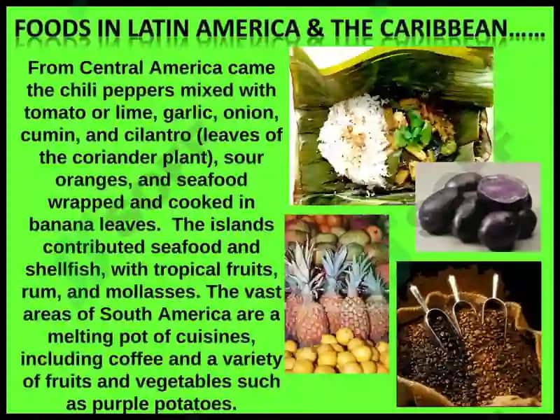 Local food of different countries 8