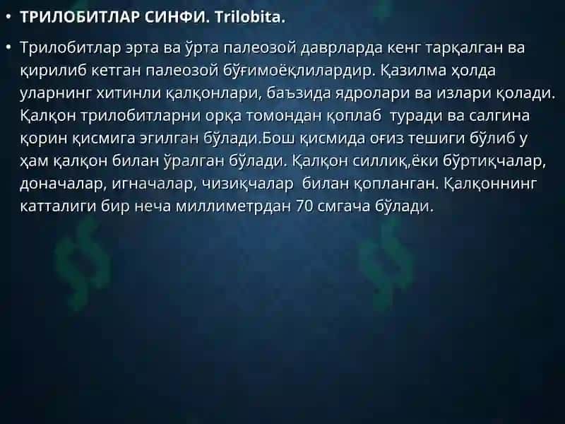Халқали Чувалчанглар Типи 8