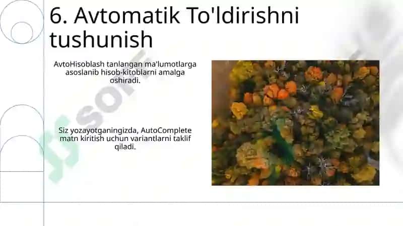 Avtotoldirish va avtohisoblashlar 8