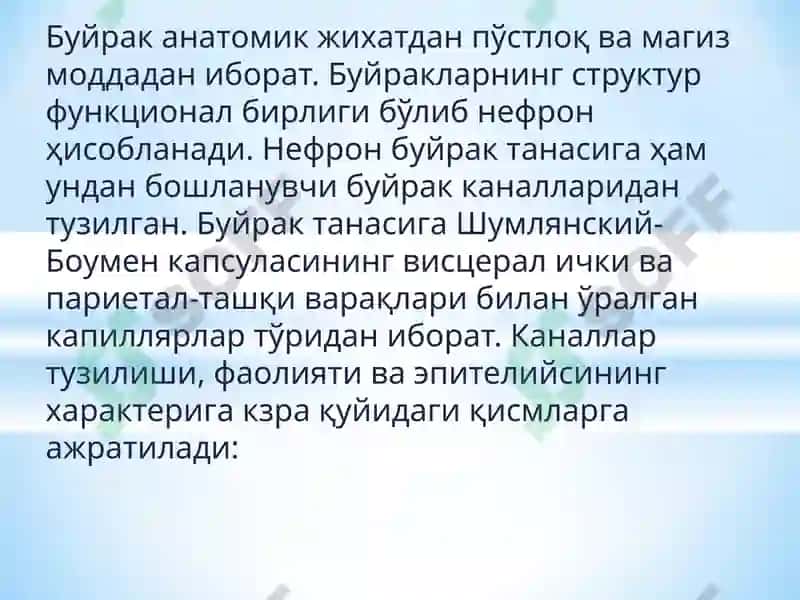 Nefropatiya 8