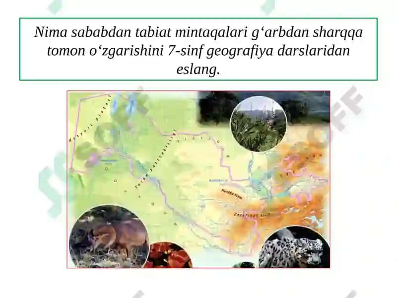 O‘ZBЕKISTОNDАQISHLОQХO‘JАLIGINING GЕОGRАFIK TIPLАRI 8