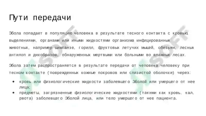 Вирус Эбола 8