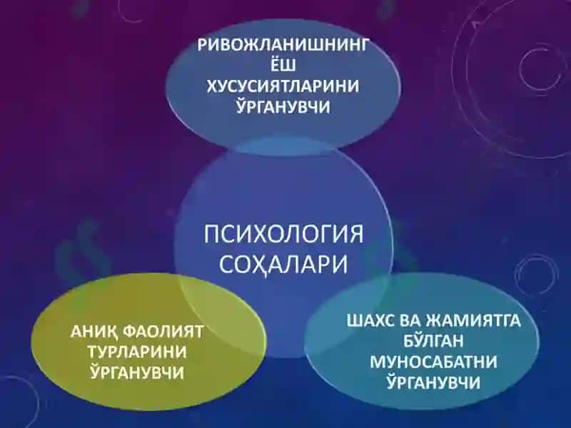 Ривожланиш психологияси ва дифференциал психология 8