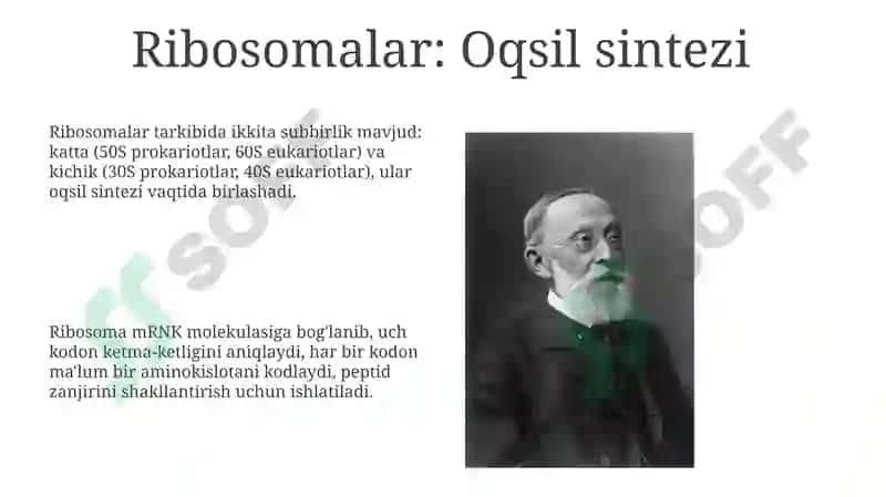 Hujayratuzilishi, Hujayranazariyasi, Genetikinjeneriya 8