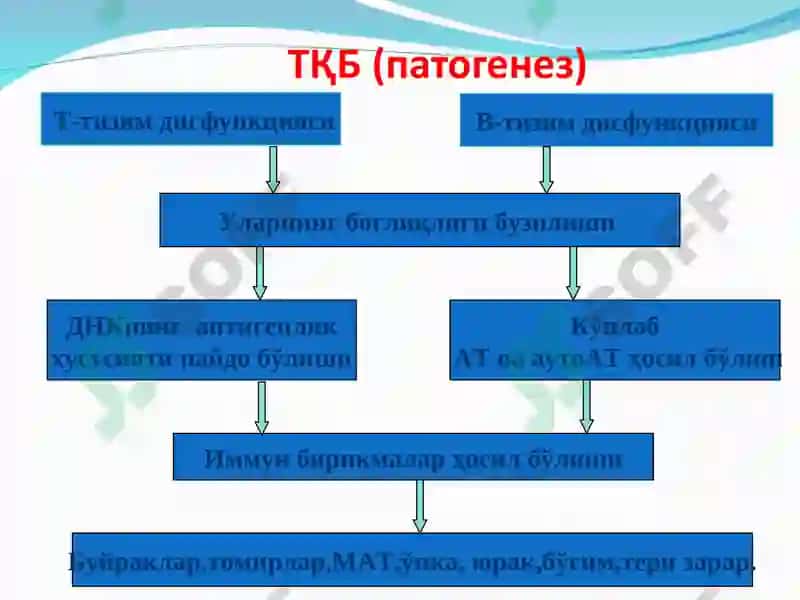 Бириктирувчи тўқима диффуз касалликларида ва ревматоидли артритда буйраклар зарарланиши 8
