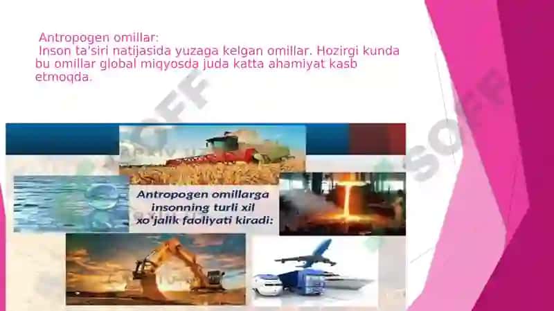Yashash muhiti, ekologik omillar va ularga organizmlarning adaptatsiya (moslashuvi). 8