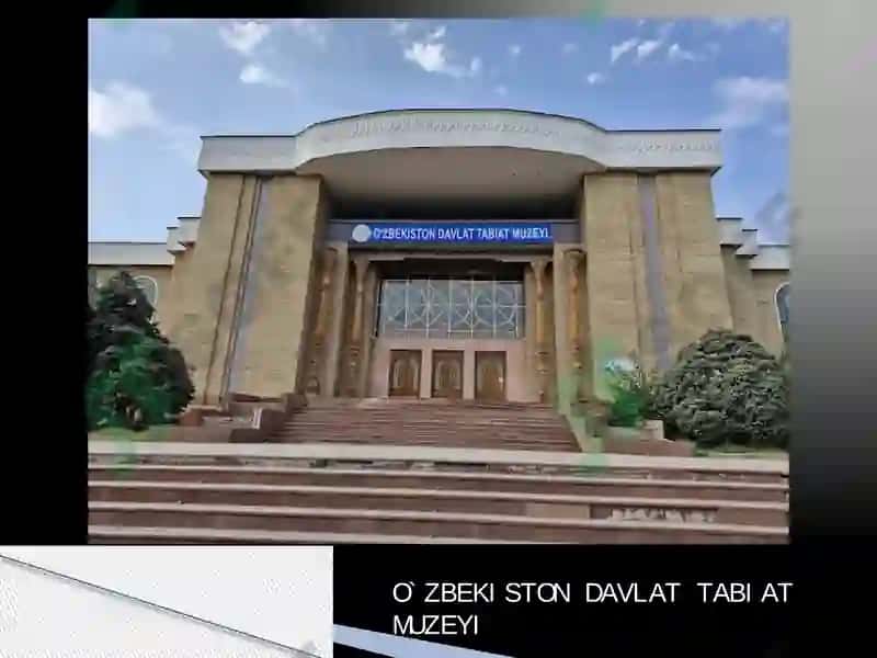 Toshkent shahrida joylashgan muzeylar yoshlar nigohida 8