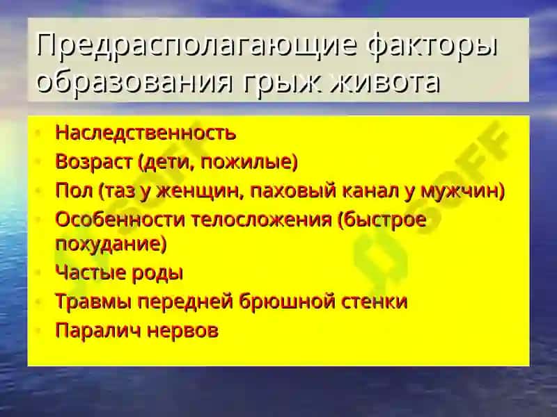 ГРЫЖИ ЖИВОТА 8