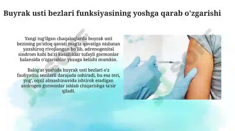 Endokrinsistemasiniyoshgabog'liqxususiyatlari 8