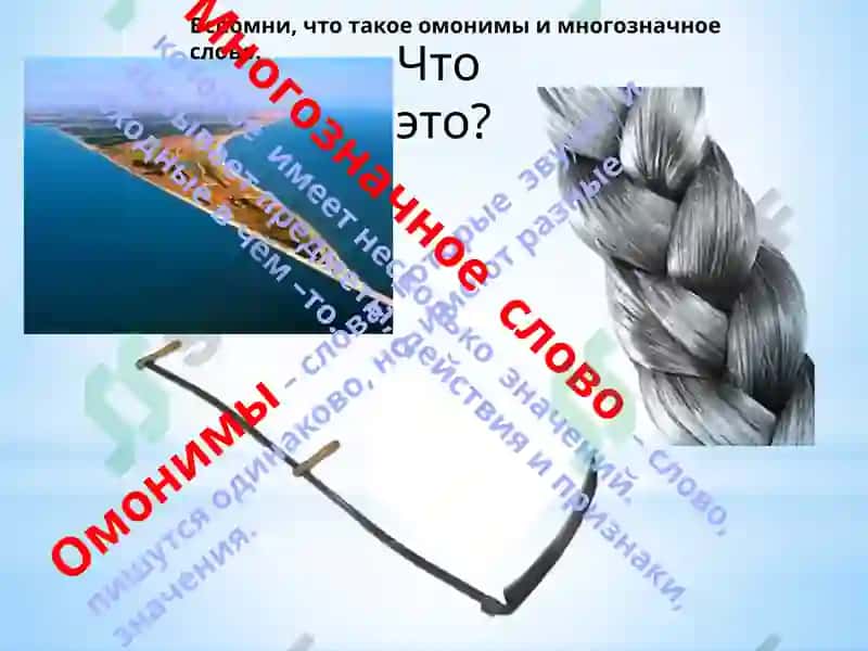 Русский язык 8