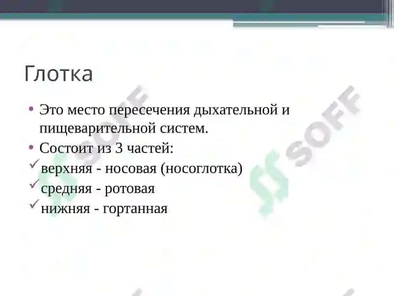 Анатомо-физиологические особенности органов дыхания детей 8