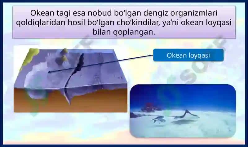 Dunyo okeanitubining geologik tuzilishi 8