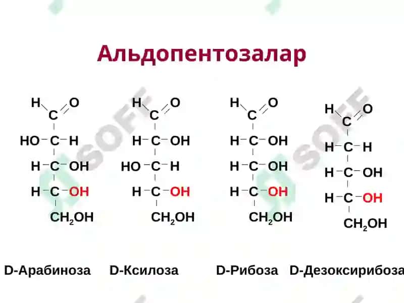 Карбонсувлар. Тузилиши ва хоссалари ва функциялари 8