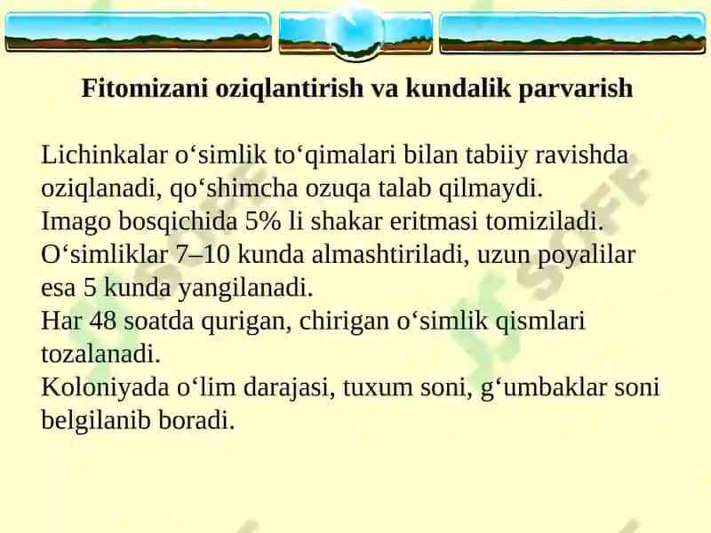 Mavzu: Fitomizani yopiq gruntda, laboratoriya sharoitida ko‘paytirish. 8