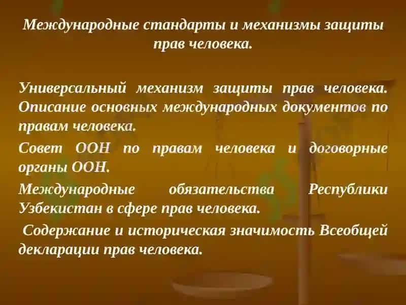 Международные стандарты права человека и механизмы защиты 8
