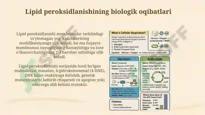 Lipid peroksidlanishi va hujayra shikastlanishi patogenizadagi ahamiyati 8