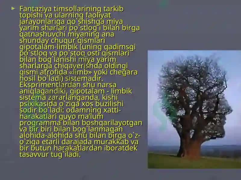 Hayol haqida tushuncha 8