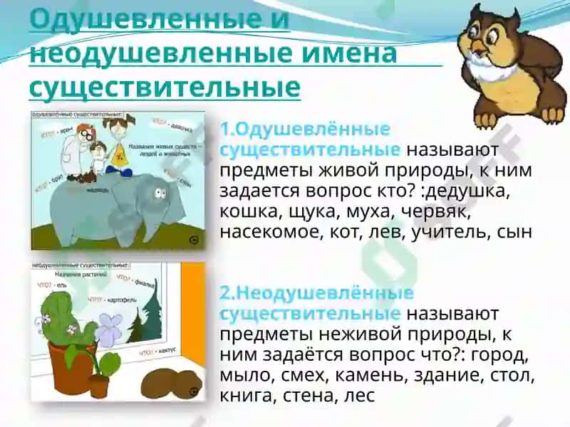 Имя существительное 8