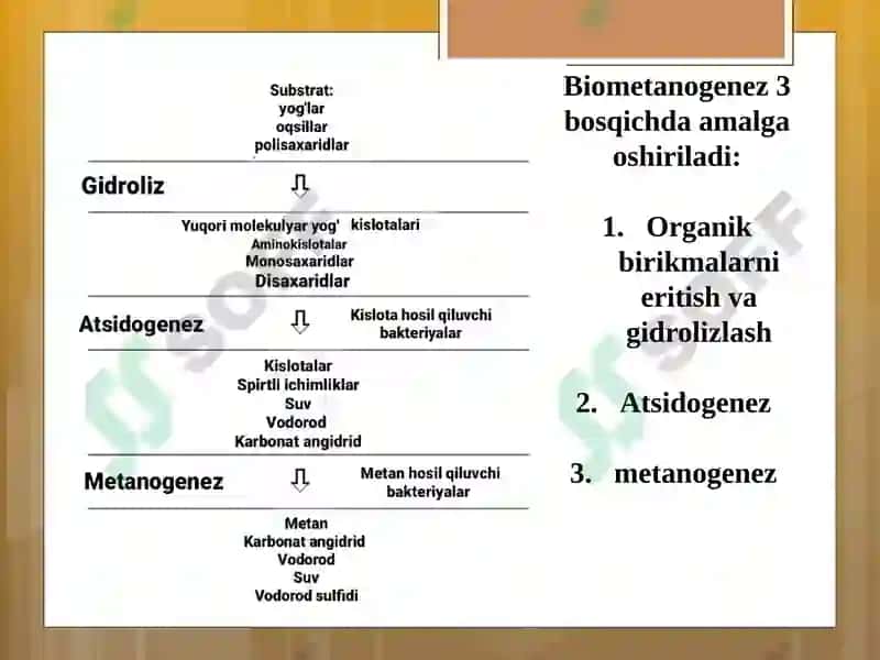 Biogaz ishlab chiqarish texnologiyasi 8