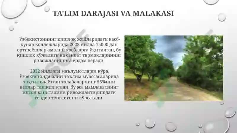 Oʻzbekistoning demografik salohiyati 8